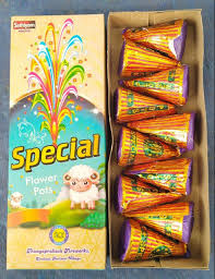 Product image for FLower Pots Special | பூச்சட்டி ஸ்பெஷல்