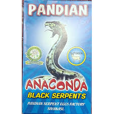 Product image for Anaconda / அனகோன்டா